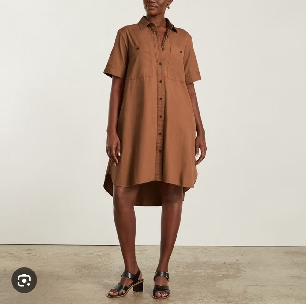 Everlane Daytripper Shirt Dress